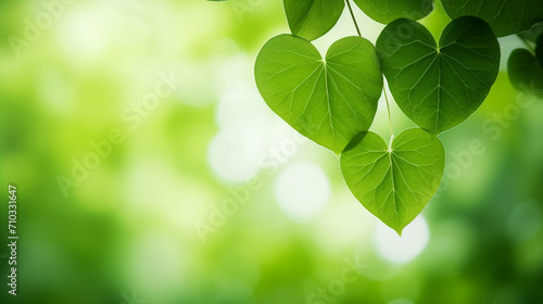 Close-up of a tree branch with heart-shaped green leaves, Generative AI