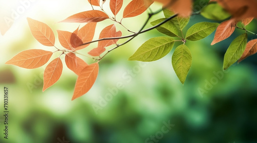 Close-up of a tree branch with green leaves and blurred background, nature, Generative AI