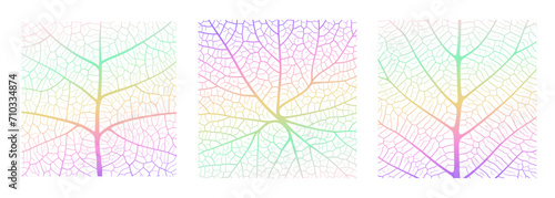 Leaf vein texture abstract background with close up plant leaf cells ornament texture pattern. Gradient organic macro linear pattern of nature leaf foliage vector illustration.