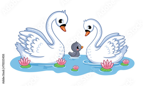 A cute family of swans swims in a pond. Cute wild birds in cartoon style. The cygnet with his parents.