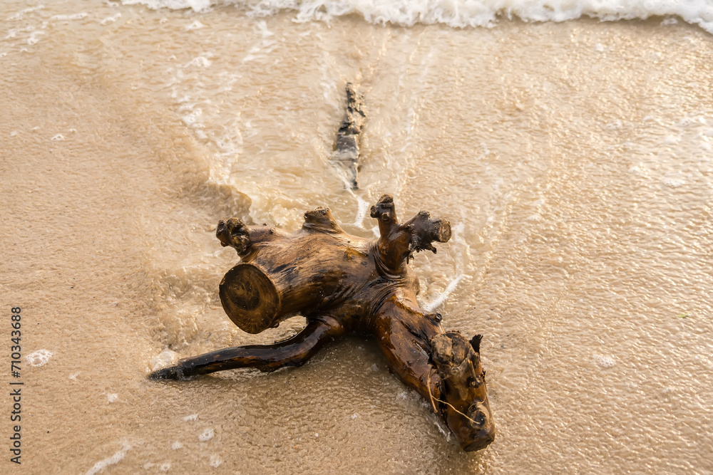 Obraz premium Driftwood on the beach and the waves.