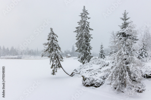 Winterwanderung um den Oderteich Bilder aus dem winterlichen Nationalpark Harz Niedersachsen © dk-fotowelt