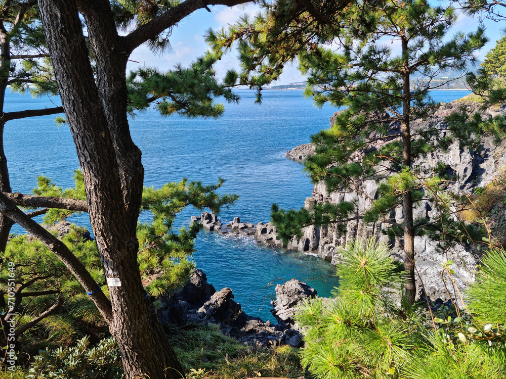 The scenery of columnar joints seen between the trees.
The scenery of columnar joints seen between the trees.