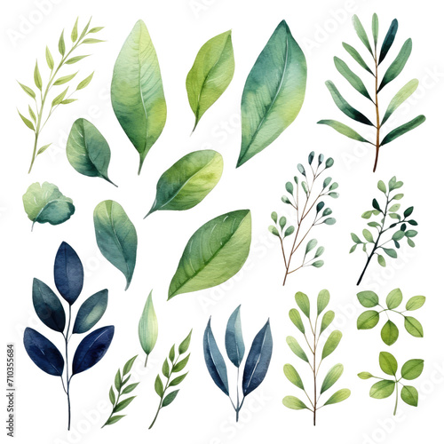 Watercolor floral set of green leaves, greenery, branches, PNG illustration on transparent background