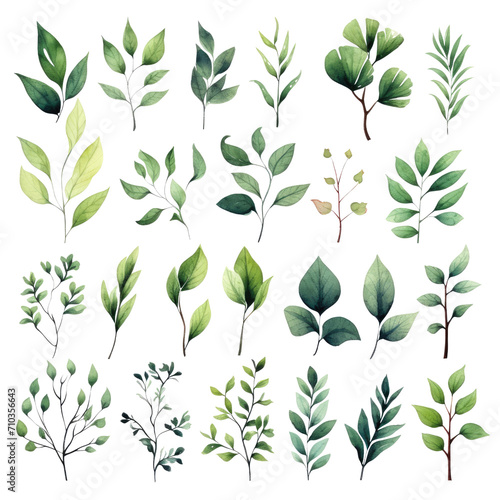 Watercolor floral set of green leaves, greenery, branches, PNG illustration on transparent background