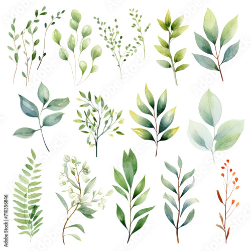 Watercolor floral set of green leaves  greenery  branches  PNG illustration on transparent background