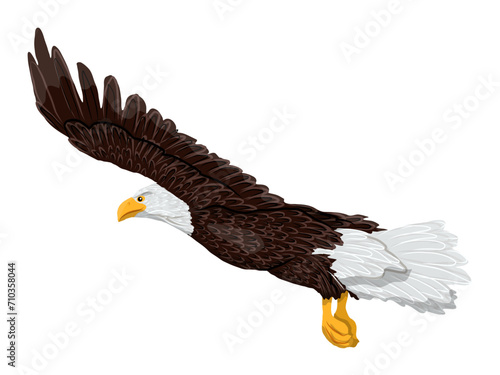A large bald eagle flies. Realistic vector animal