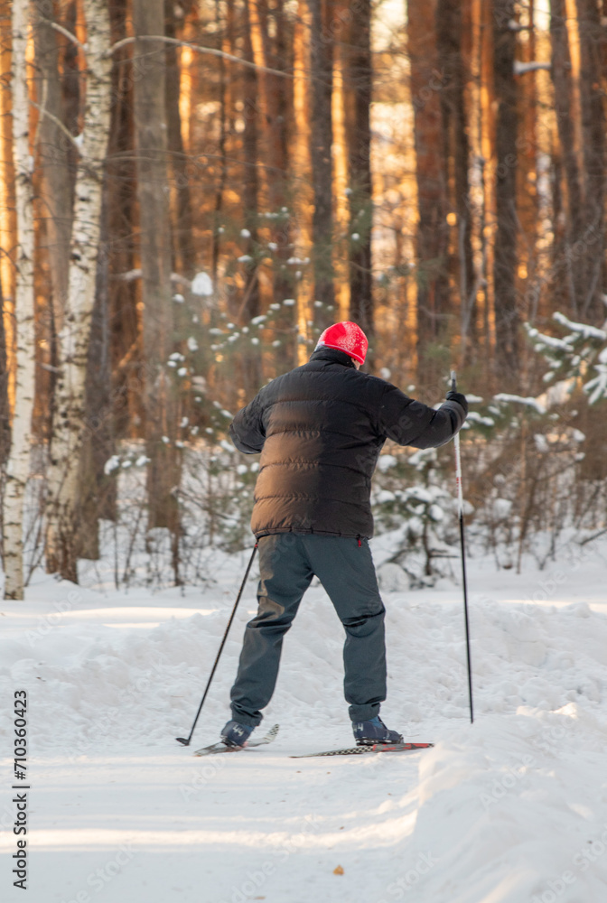 Skier in a winter forest park. Back view.