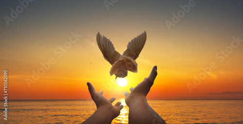 Praying hands and white dove flying happily on blurred background with sunset , hope and freedom concept. © chathuporn