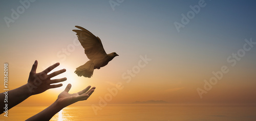 Praying hands and white dove flying happily on blurred background. hope and freedom concept.
