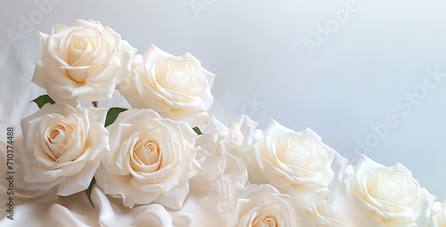 White roses  Background for design. Postcard. Congratulations. Web banner. Wide. Panoramic. valentines day background. Valentine s Day. An empty space for copying text.