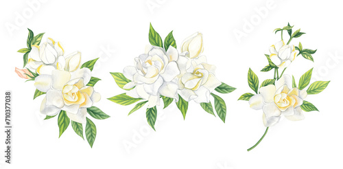 Watercolor white gardenia bouquet isolated on transparent background. Hand painting illustration for interior decoration, textile printing, wedding,  printed issues, invitation and greeting cards photo