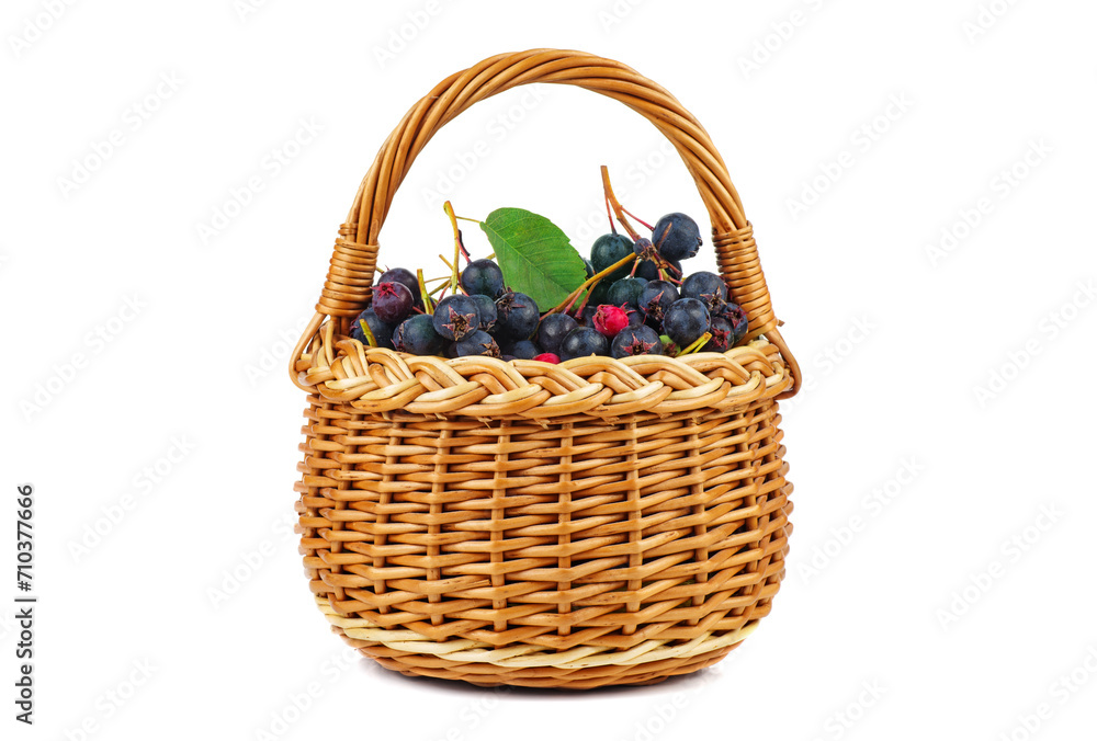 Amelanchier in the wicker basket isolated on white background. High resolution photo. Amelanchier in the wicker basket isolated on white background. High resolution photo.