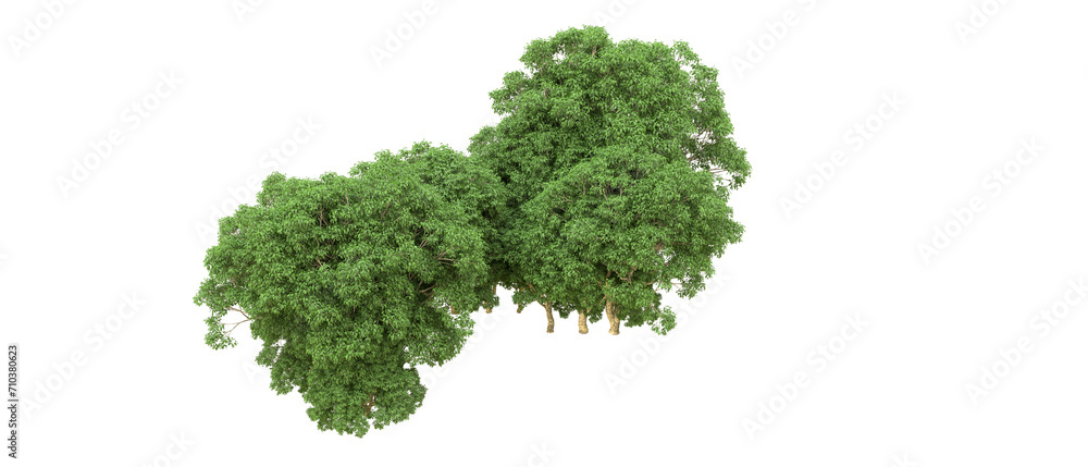 Obraz premium Green forest isolated on background. 3d rendering - illustration