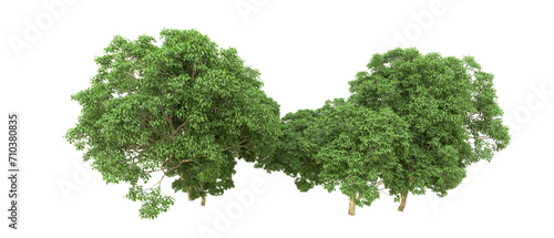 Green forest isolated on background. 3d rendering - illustration