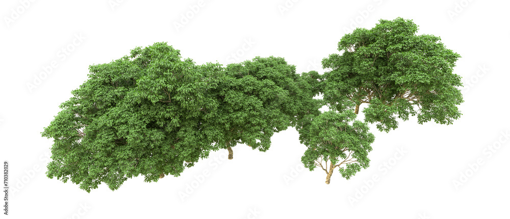Green forest isolated on background. 3d rendering - illustration Green forest isolated on background. 3d rendering - illustration