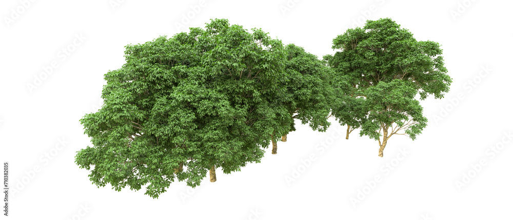 Green forest isolated on background. 3d rendering - illustration Green forest isolated on background. 3d rendering - illustration