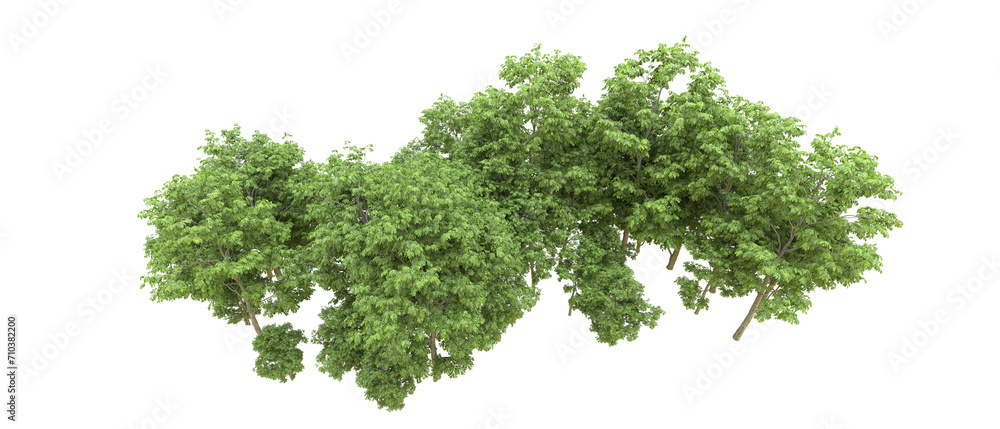 Green forest isolated on background. 3d rendering - illustration Green forest isolated on background. 3d rendering - illustration