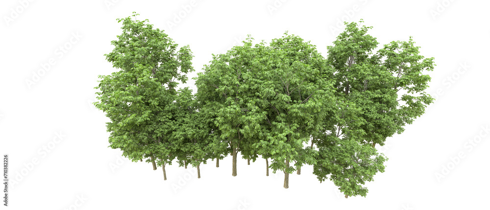 Green forest isolated on background. 3d rendering - illustration Green forest isolated on background. 3d rendering - illustration