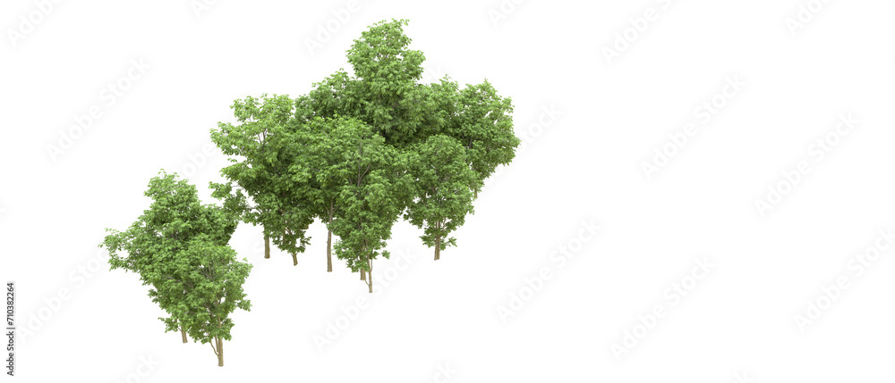 Green forest isolated on background. 3d rendering - illustration Green forest isolated on background. 3d rendering - illustration