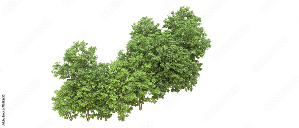 Green forest isolated on background. 3d rendering - illustration Green forest isolated on background. 3d rendering - illustration