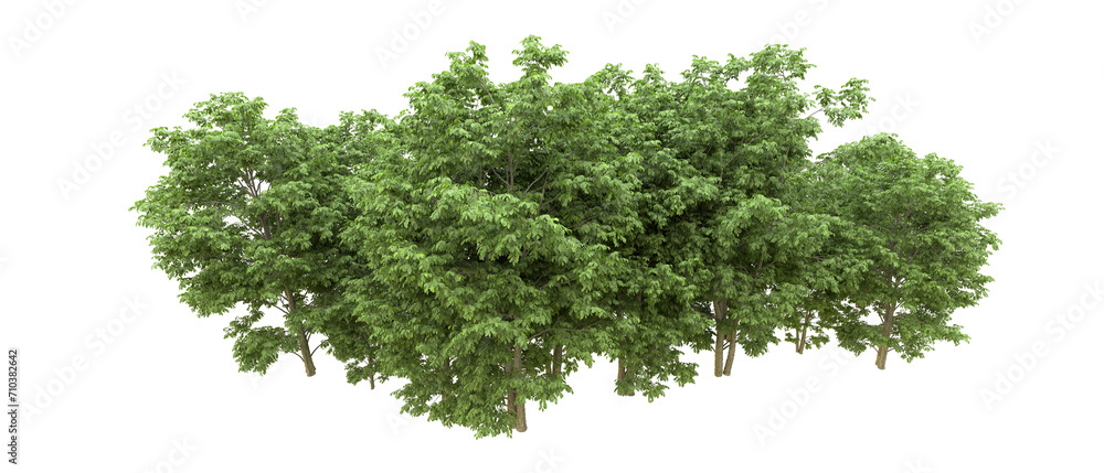 Green forest isolated on background. 3d rendering - illustration Green forest isolated on background. 3d rendering - illustration