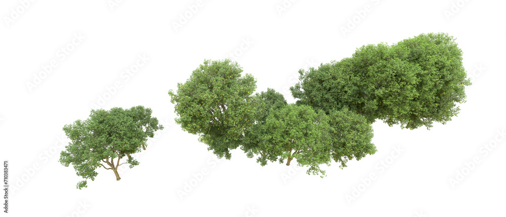 Green forest isolated on background. 3d rendering - illustration Green forest isolated on background. 3d rendering - illustration