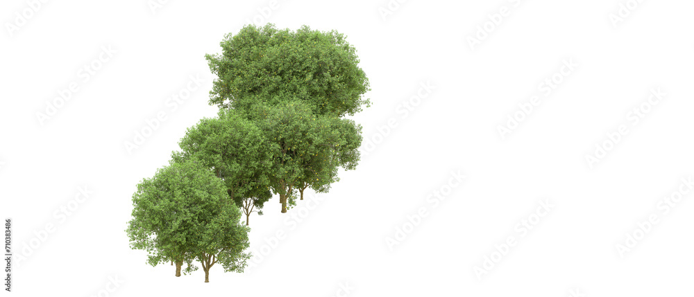Fototapeta premium Green forest isolated on background. 3d rendering - illustration