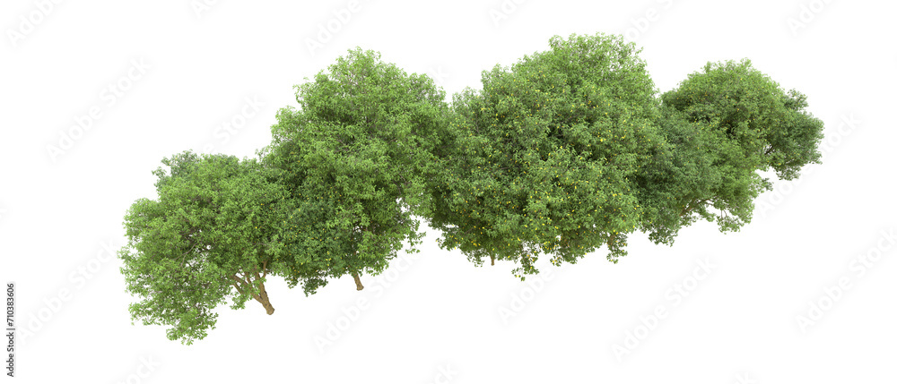 Obraz premium Green forest isolated on background. 3d rendering - illustration