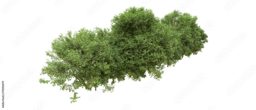 Green forest isolated on background. 3d rendering - illustration Green forest isolated on background. 3d rendering - illustration