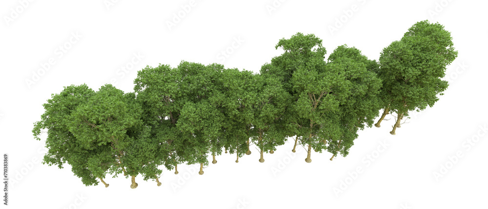Green forest isolated on background. 3d rendering - illustration Green forest isolated on background. 3d rendering - illustration