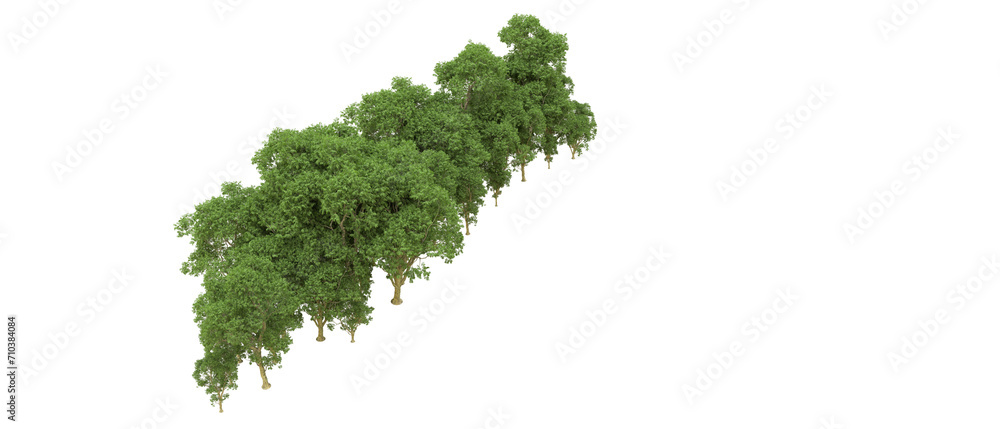 Green forest isolated on background. 3d rendering - illustration Green forest isolated on background. 3d rendering - illustration