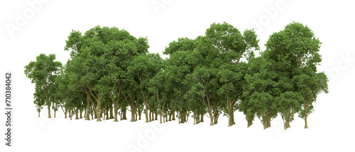 Green forest isolated on background. 3d rendering - illustration