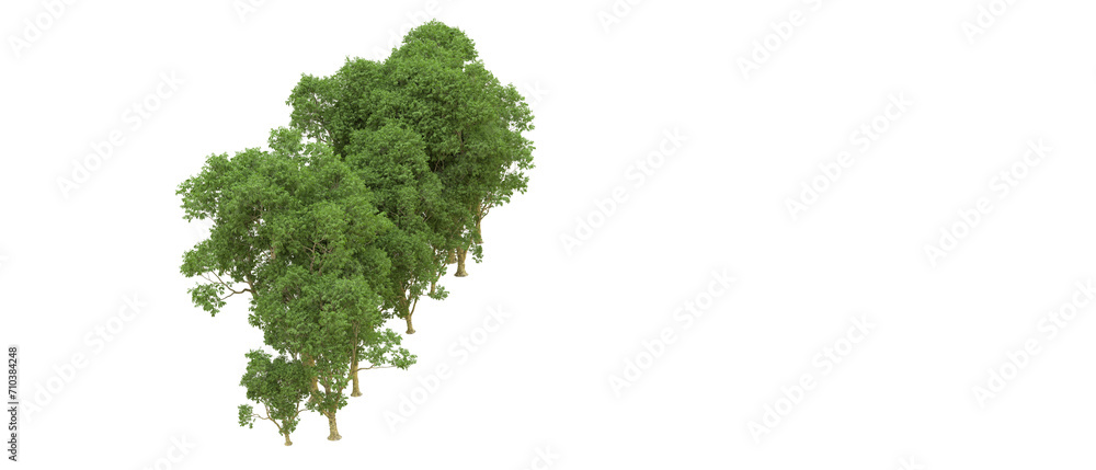 Obraz premium Green forest isolated on background. 3d rendering - illustration