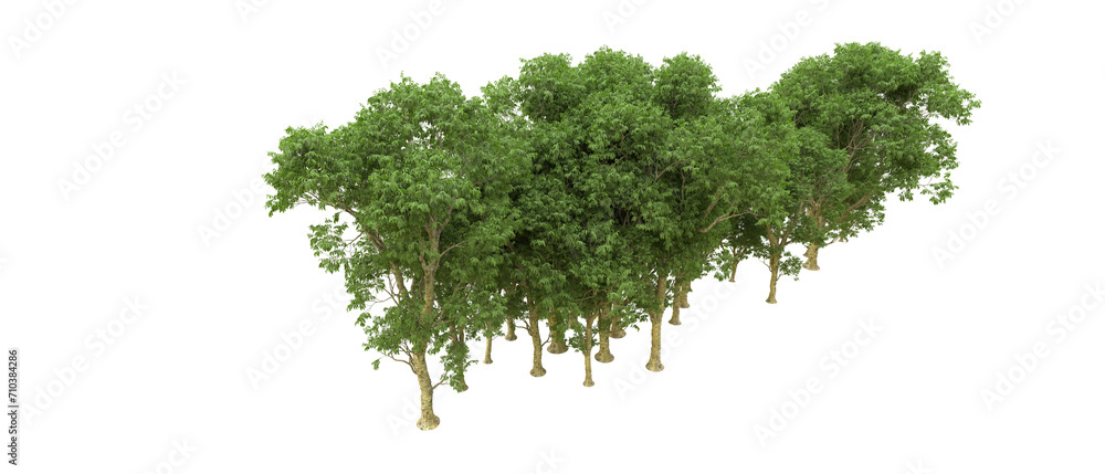 Obraz premium Green forest isolated on background. 3d rendering - illustration