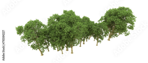 Green forest isolated on background. 3d rendering - illustration