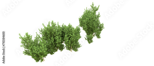 Green forest isolated on background. 3d rendering - illustration