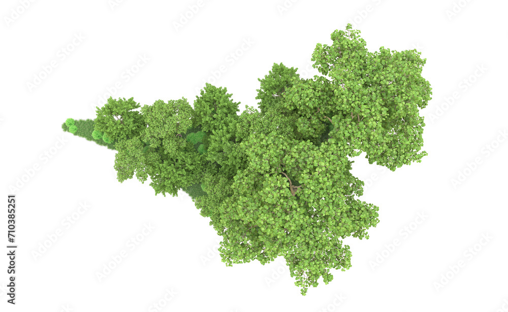 Green forest isolated on background. 3d rendering - illustration Green forest isolated on background. 3d rendering - illustration