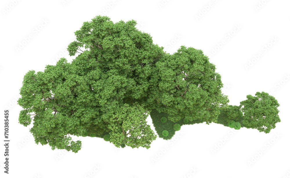 Green forest isolated on background. 3d rendering - illustration Green forest isolated on background. 3d rendering - illustration