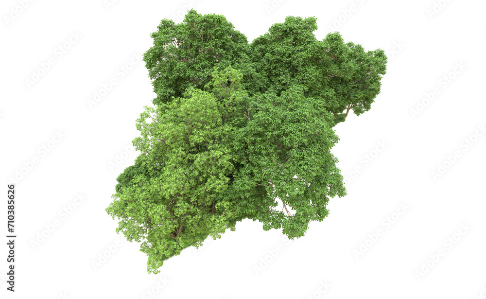 Green forest isolated on background. 3d rendering - illustration Green forest isolated on background. 3d rendering - illustration