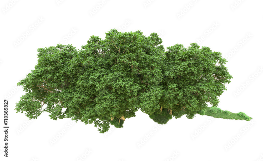 Fototapeta premium Green forest isolated on background. 3d rendering - illustration