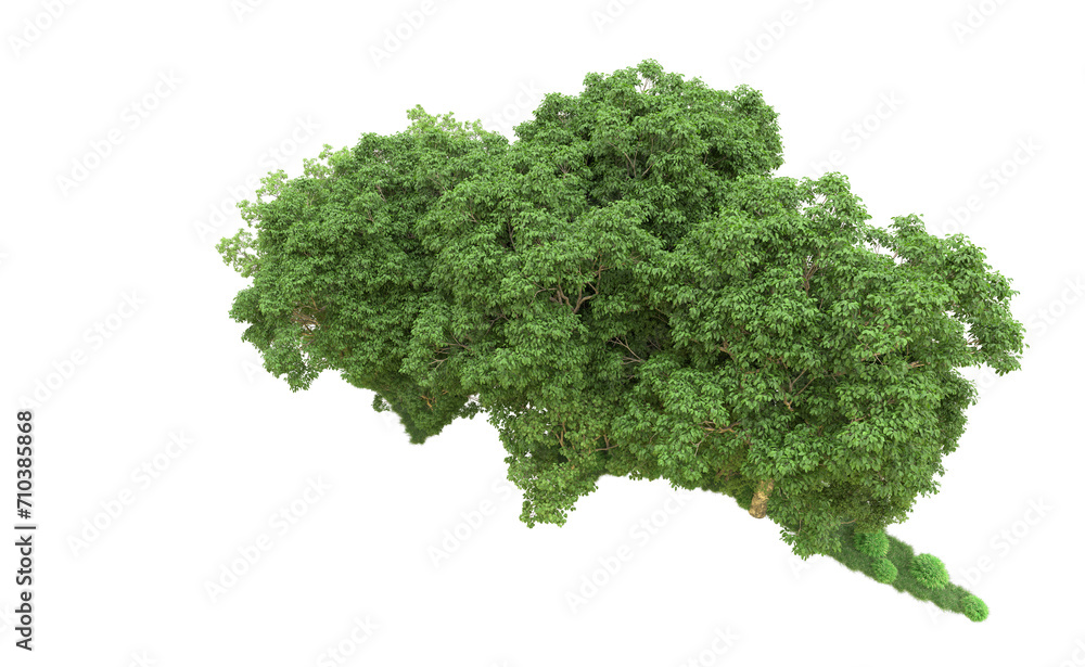 Green forest isolated on background. 3d rendering - illustration Green forest isolated on background. 3d rendering - illustration
