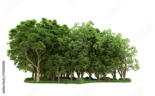 Green forest isolated on background. 3d rendering - illustration