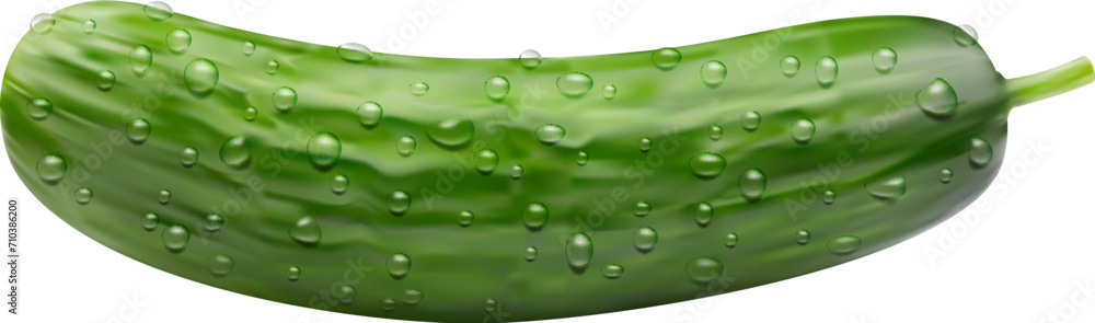 Realistic raw cucumber vegetable whole veggie with water drops. Isolated 3d vector crisp and refreshing veg, bursts with hydration. Its green skin encases a crunchy texture and mild flavor