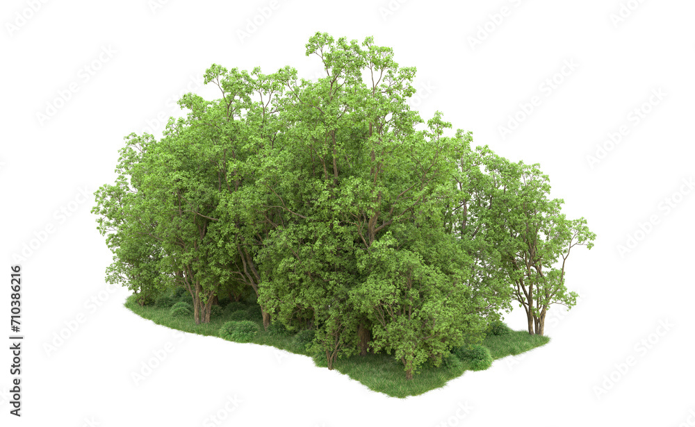Obraz premium Green forest isolated on background. 3d rendering - illustration