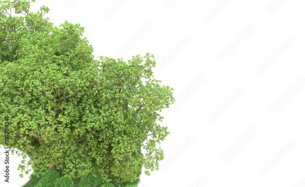 Fototapeta premium Green forest isolated on background. 3d rendering - illustration