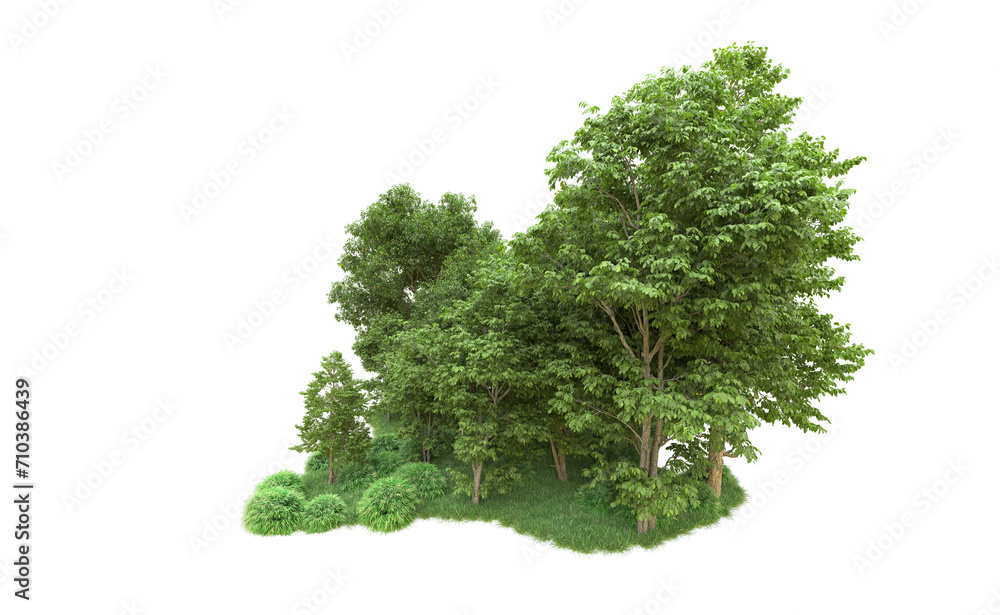 Obraz premium Green forest isolated on background. 3d rendering - illustration