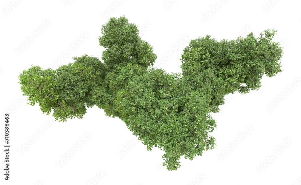 Obraz premium Green forest isolated on background. 3d rendering - illustration