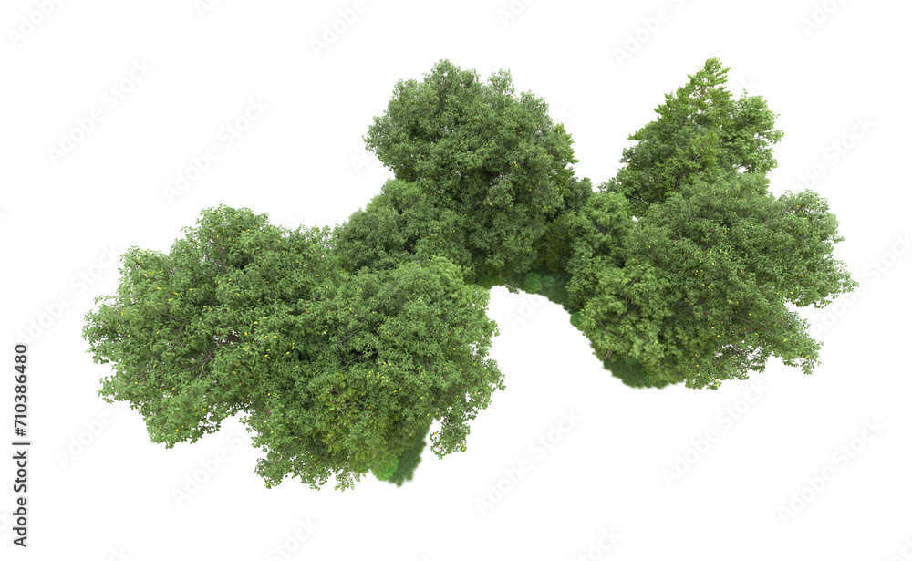 Obraz premium Green forest isolated on background. 3d rendering - illustration