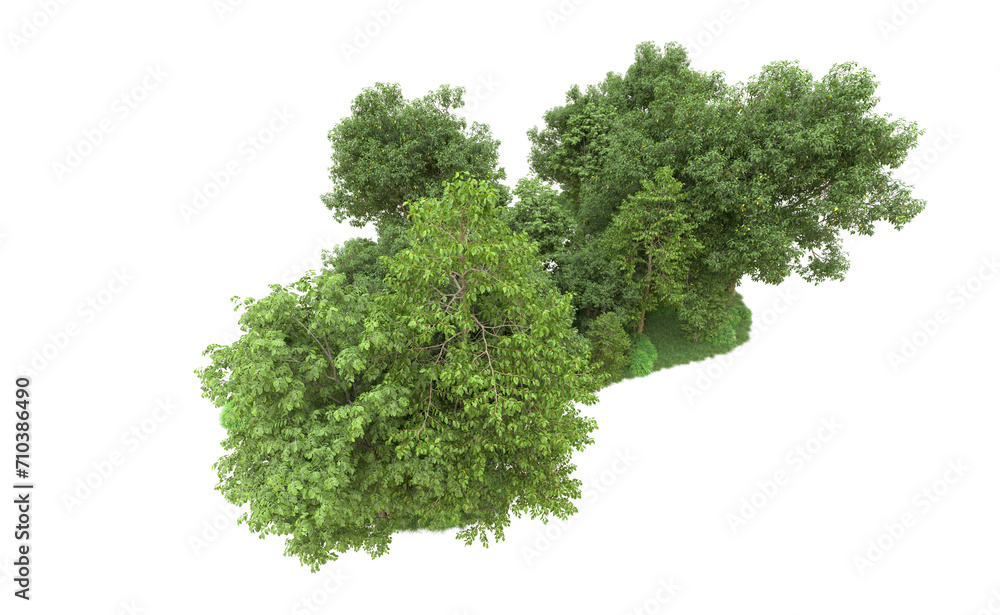 Green forest isolated on background. 3d rendering - illustration Green forest isolated on background. 3d rendering - illustration